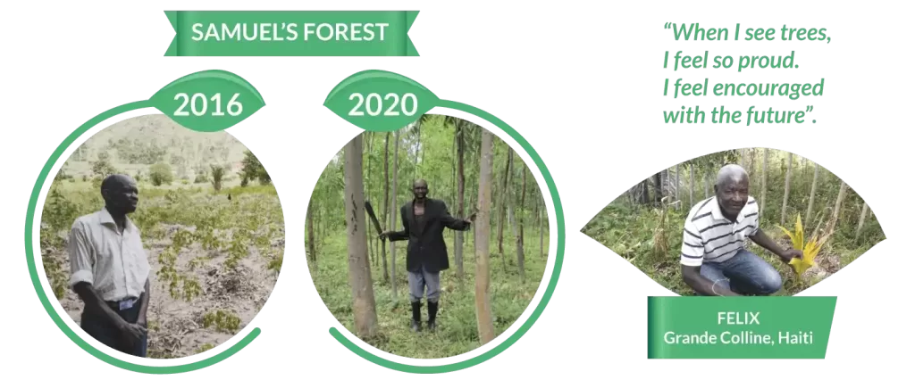 Empower reforestation! ???? Planting trees for every 100 km our pallets travel. Join us in restoring Tanzania, Haiti, DR Congo, Mexico, Dominican Republic, Ethiopia, Thailand.